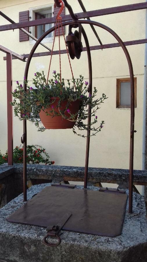 Rural Apartment Carolina Zrenj Zewnętrze zdjęcie